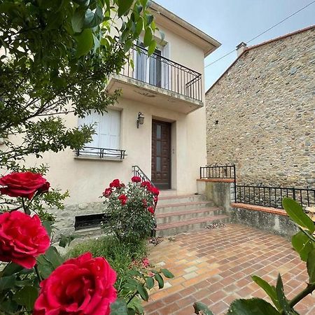 Lg Rite Appartement Avec Jardin Prades  Exterior photo